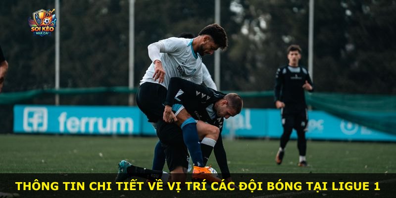 Thông tin chi tiết về vị trí các đội bóng tại Ligue 1