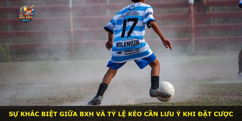 Sự khác biệt giữa BXH và tỷ lệ kèo cần lưu ý khi đặt cược