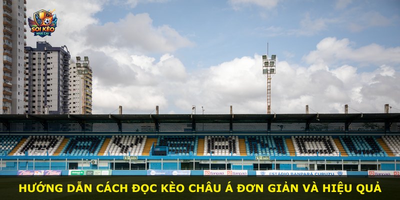 Hướng dẫn cách đọc kèo châu Á đơn giản và hiệu quả