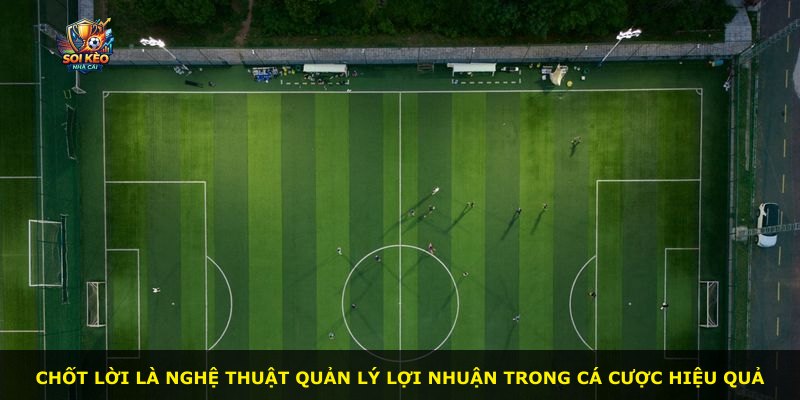 Chốt lời là nghệ thuật quản lý lợi nhuận trong cá cược hiệu quả