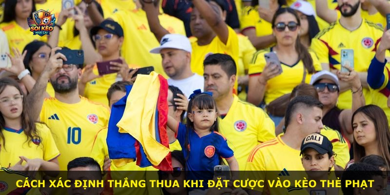 Cách xác định thắng thua khi đặt cược vào kèo thẻ phạt