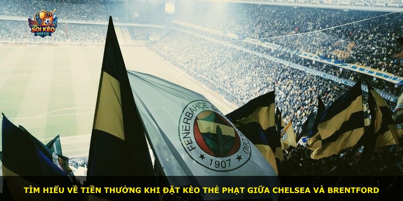 Tìm hiểu về tiền thưởng khi đặt kèo thẻ phạt giữa Chelsea và Brentford