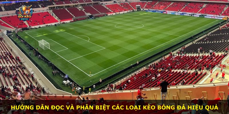 Hướng dẫn đọc và phân biệt các loại kèo bóng đá hiệu quả