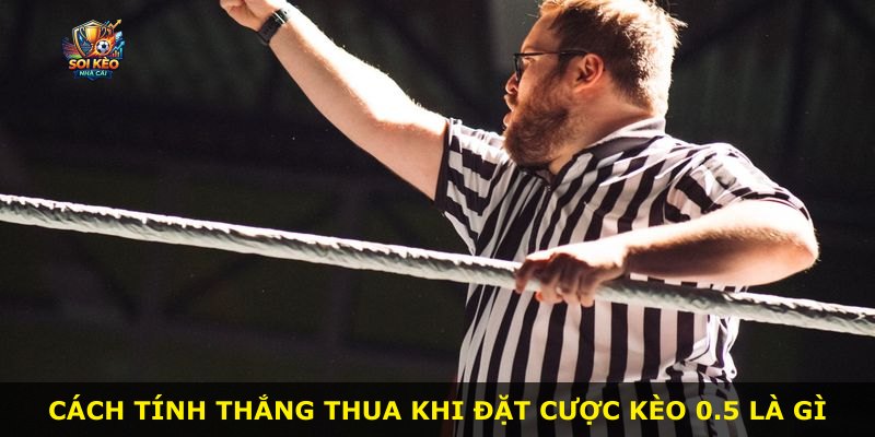 Cách tính thắng thua khi đặt cược kèo 0.5 là gì