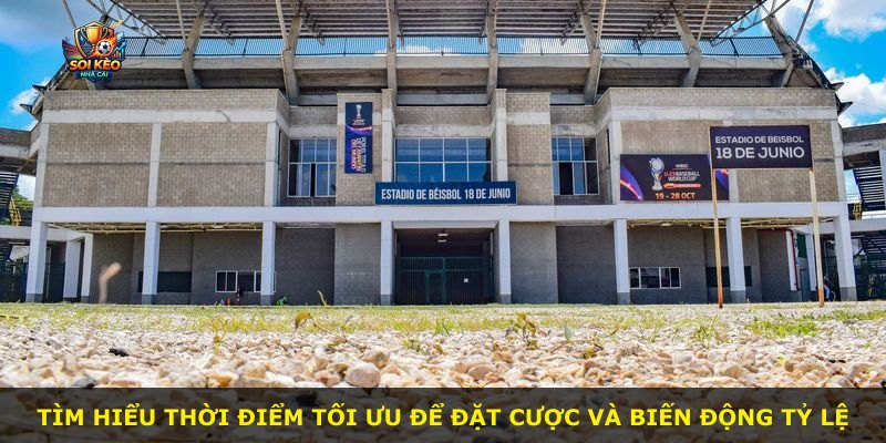 Tìm hiểu thời điểm tối ưu để đặt cược và biến động tỷ lệ