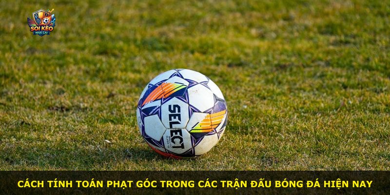 Cách tính toán phạt góc trong các trận đấu bóng đá hiện nay