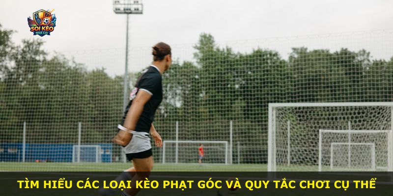 Tìm hiểu các loại kèo phạt góc và quy tắc chơi cụ thể