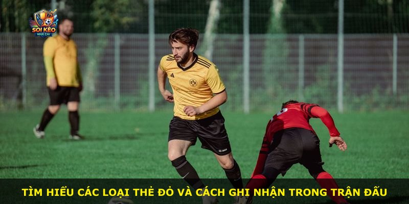 Tìm hiểu các loại thẻ đỏ và cách ghi nhận trong trận đấu