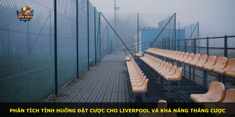 Phân tích tình huống đặt cược cho Liverpool và khả năng thắng cược