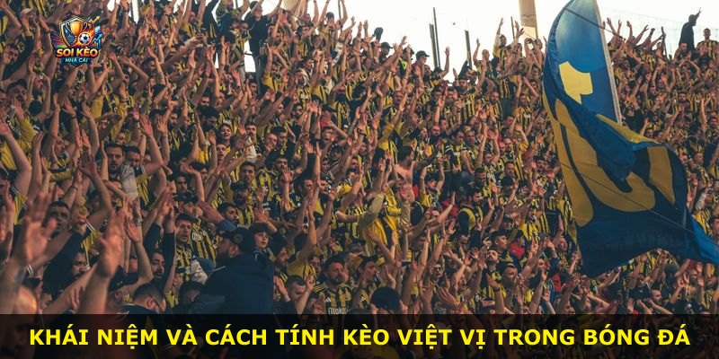 Khái niệm và cách tính kèo việt vị trong bóng đá