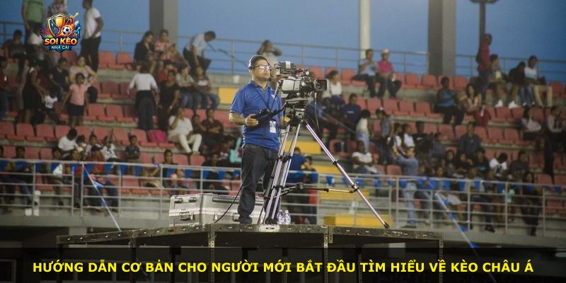 Hướng dẫn cơ bản cho người mới bắt đầu tìm hiểu về kèo châu Á