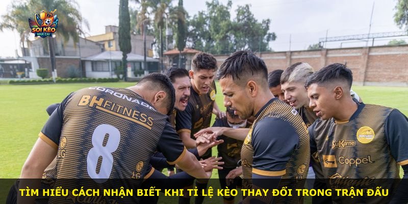 Tìm hiểu cách nhận biết khi tỉ lệ kèo thay đổi trong trận đấu