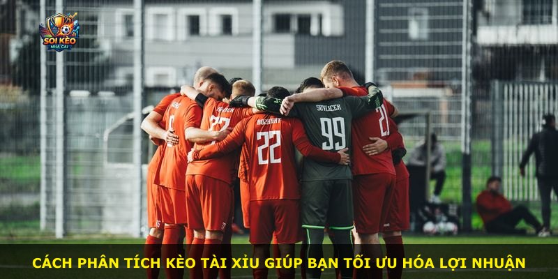 Cách phân tích kèo tài xỉu giúp bạn tối ưu hóa lợi nhuận