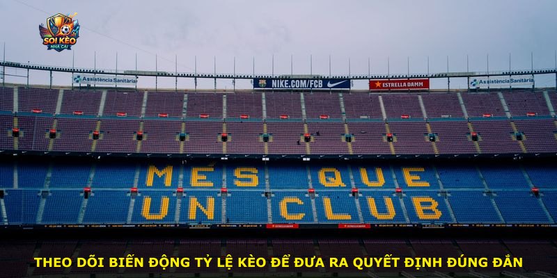 Theo dõi biến động tỷ lệ kèo để đưa ra quyết định đúng đắn