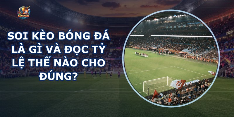 Soi Kèo Bóng Đá
