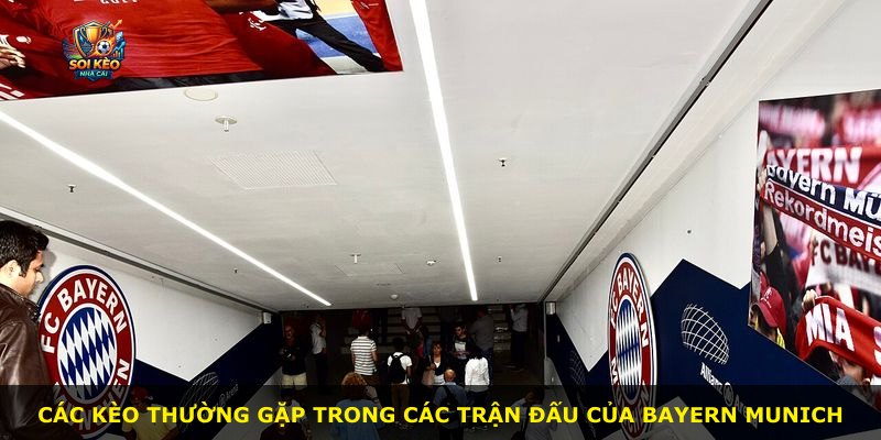 Các kèo thường gặp trong các trận đấu của Bayern Munich