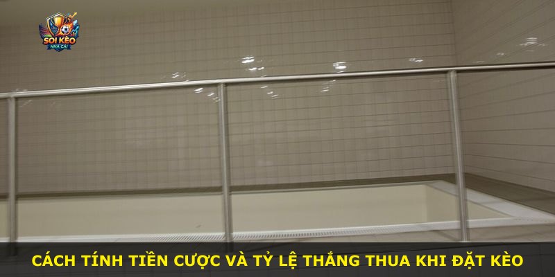 Cách tính tiền cược và tỷ lệ thắng thua khi đặt kèo
