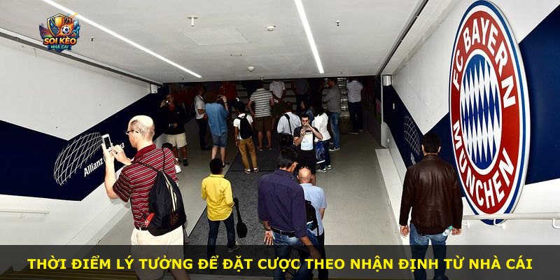 Thời điểm lý tưởng để đặt cược theo nhận định từ nhà cái