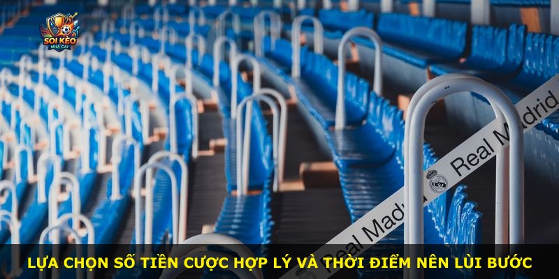 Lựa chọn số tiền cược hợp lý và thời điểm nên lùi bước