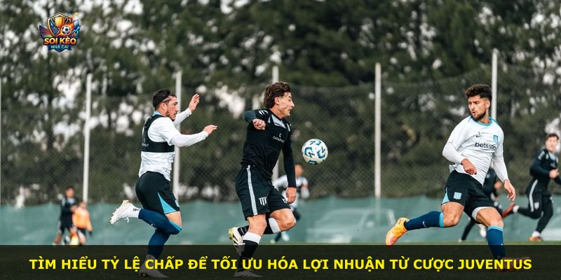 Tìm hiểu tỷ lệ chấp để tối ưu hóa lợi nhuận từ cược Juventus