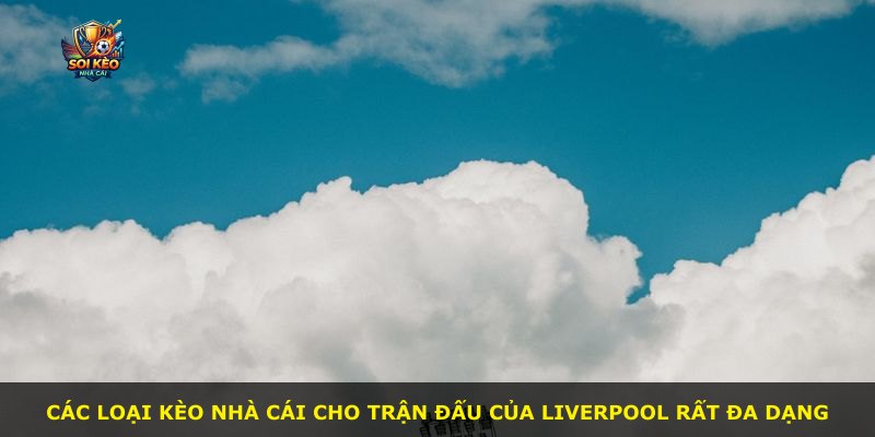 Các loại kèo nhà cái cho trận đấu của Liverpool rất đa dạng