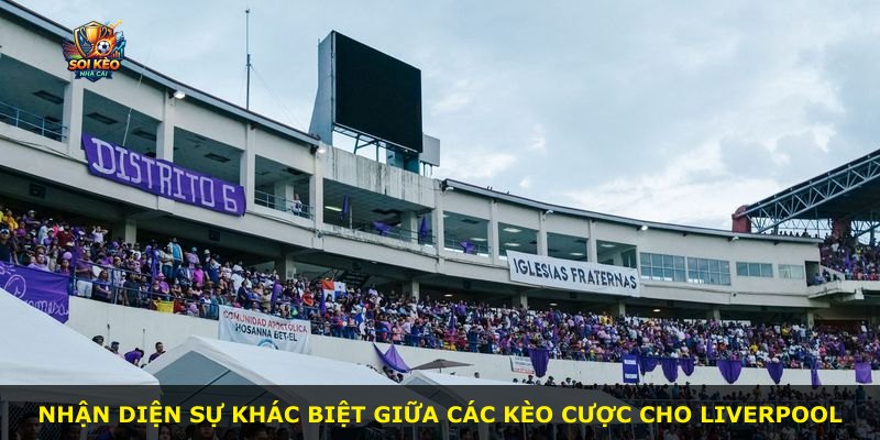 Nhận diện sự khác biệt giữa các kèo cược cho Liverpool