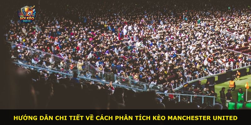 Hướng dẫn chi tiết về cách phân tích kèo Manchester United