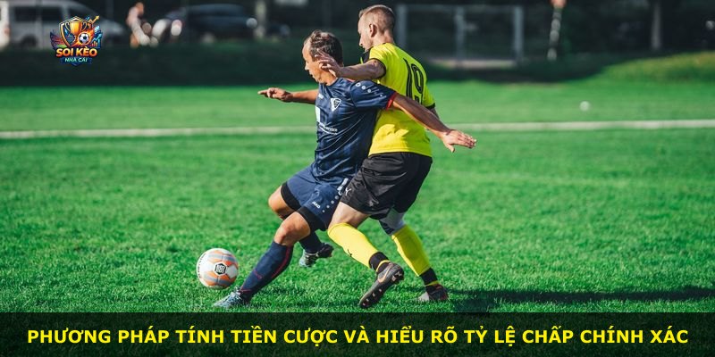 Phương pháp tính tiền cược và hiểu rõ tỷ lệ chấp chính xác