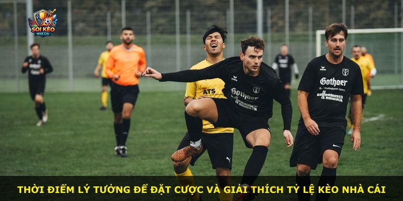 Thời điểm lý tưởng để đặt cược và giải thích tỷ lệ kèo nhà cái