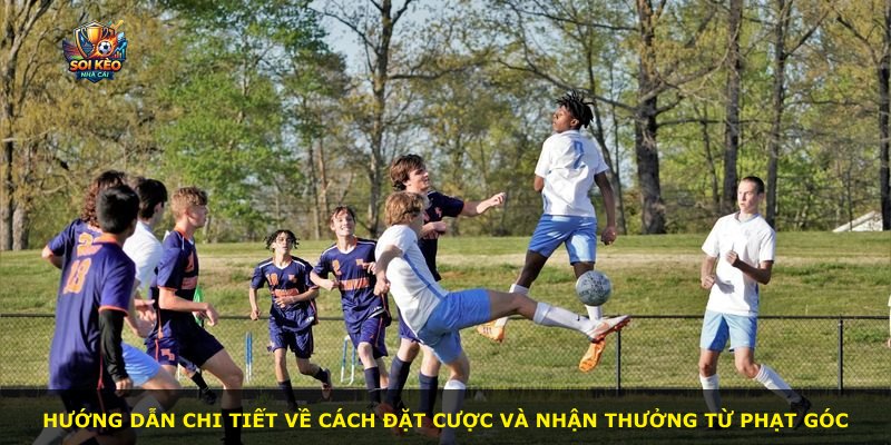 Hướng dẫn chi tiết về cách đặt cược và nhận thưởng từ phạt góc