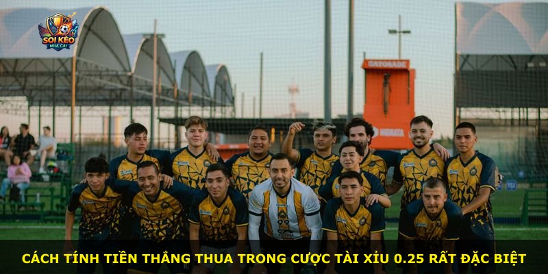 Cách tính tiền thắng thua trong cược Tài Xỉu 0.25 rất đặc biệt