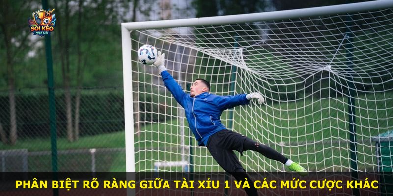 Phân biệt rõ ràng giữa Tài Xỉu 1 và các mức cược khác