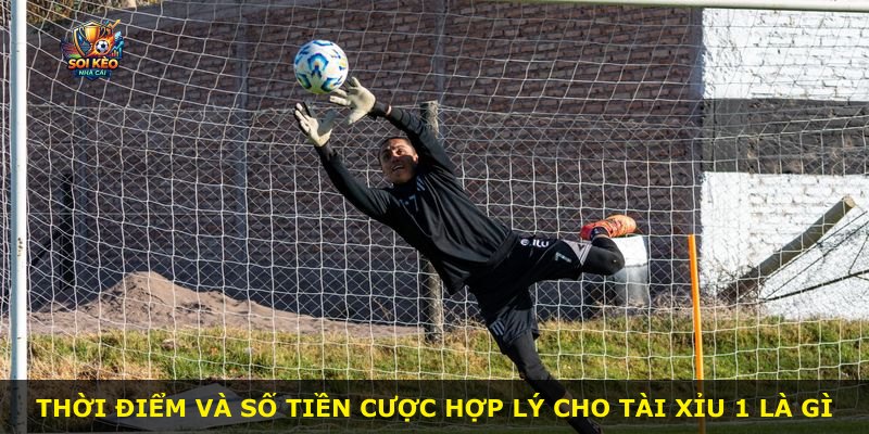 Thời điểm và số tiền cược hợp lý cho Tài Xỉu 1 là gì