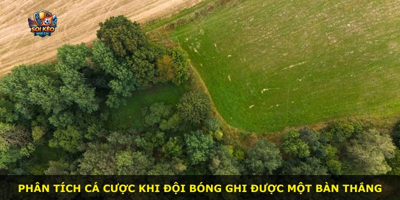 Phân tích cá cược khi đội bóng ghi được một bàn thắng