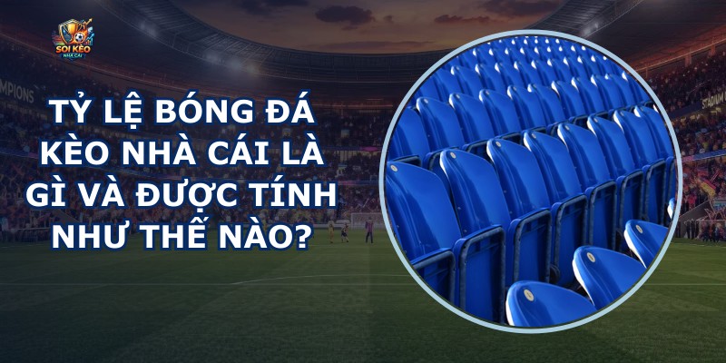 Tỷ Lệ Bóng Đá Kèo Nhà Cái