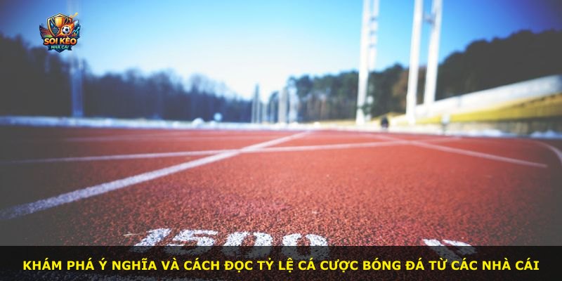 Khám phá ý nghĩa và cách đọc tỷ lệ cá cược bóng đá từ các nhà cái