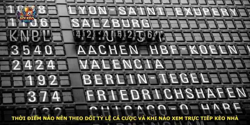 Thời điểm nào nên theo dõi tỷ lệ cá cược và khi nào xem trực tiếp kèo nhà