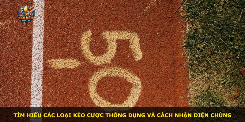 Tìm hiểu các loại kèo cược thông dụng và cách nhận diện chúng