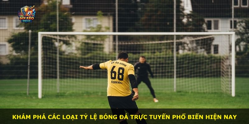 Khám phá các loại tỷ lệ bóng đá trực tuyến phổ biến hiện nay