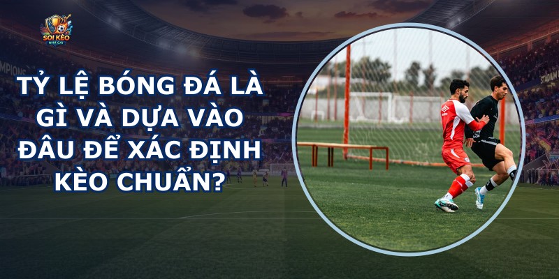 Tỷ Lệ Bóng Đá