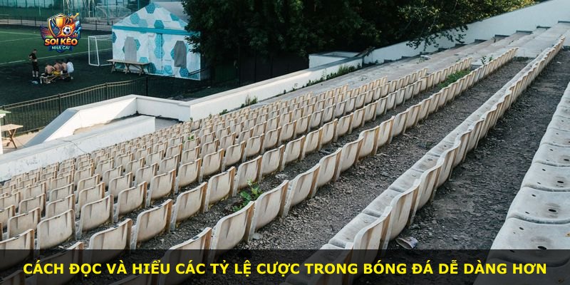 Cách đọc và hiểu các tỷ lệ cược trong bóng đá dễ dàng hơn