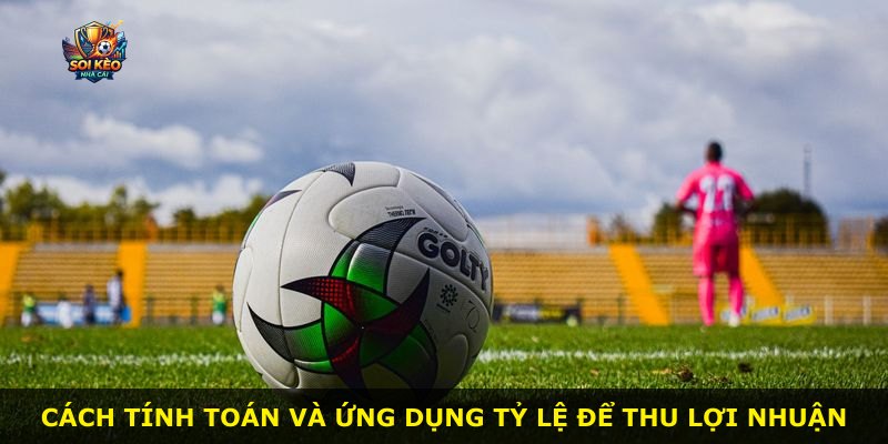 Cách tính toán và ứng dụng tỷ lệ để thu lợi nhuận
