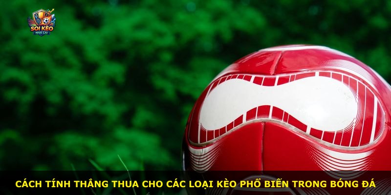Cách tính thắng thua cho các loại kèo phổ biến trong bóng đá