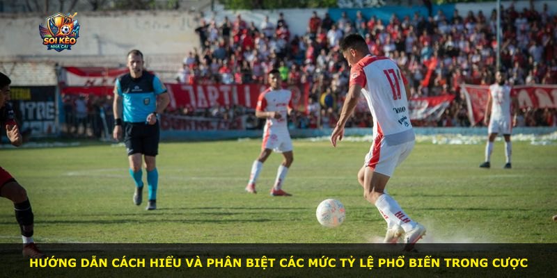 Hướng dẫn cách hiểu và phân biệt các mức tỷ lệ phổ biến trong cược