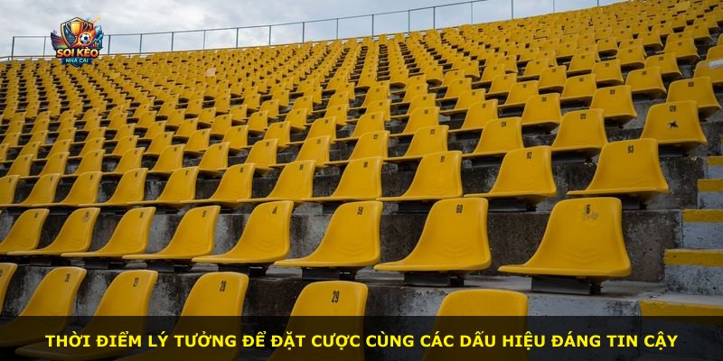 Thời điểm lý tưởng để đặt cược cùng các dấu hiệu đáng tin cậy